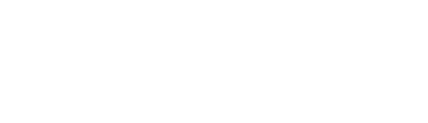 SonicVolts logo
